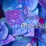スピテック6月のスケジュール(全国イベント・オンラインサロン)